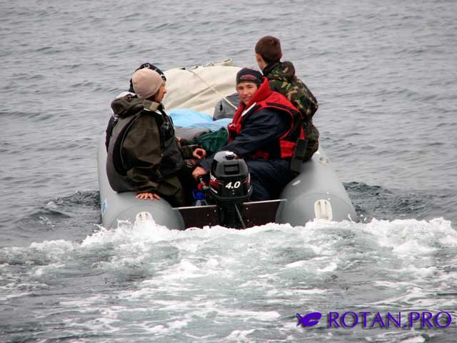 Ротан Р 500 Э Л Ротан Р 500 Э Л